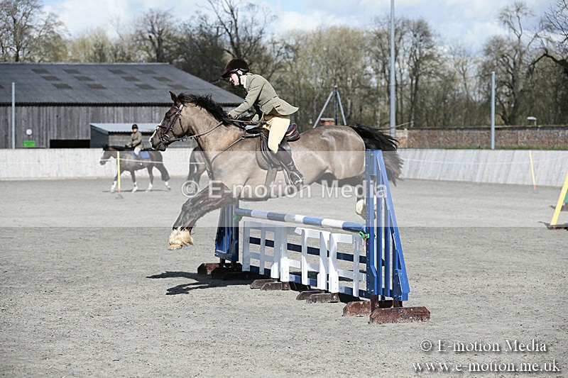 BVRC SJ 170319 535 - Bourne Valley Riding Club Showjumping 17/03/19