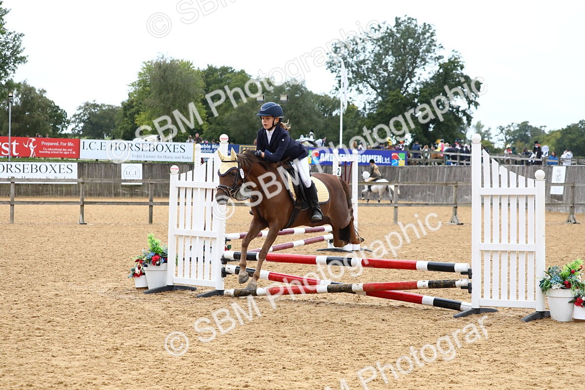 SBM_60135 - J63 - Junior Pony 50cm Championship