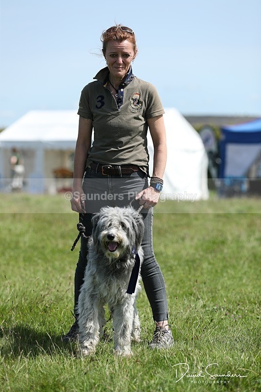 SPXX0583 - Dog show