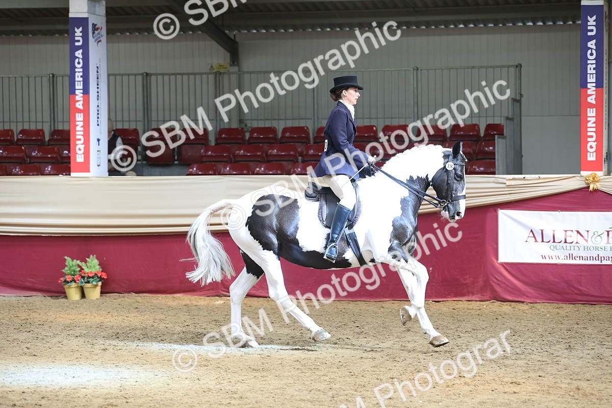 SBM_23745 - class 906 - Supreme Final - Ridden Pre Vet