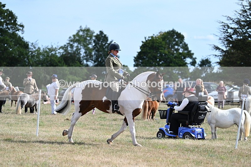 WJ7_7478 - Class 14 Ridden Coloured