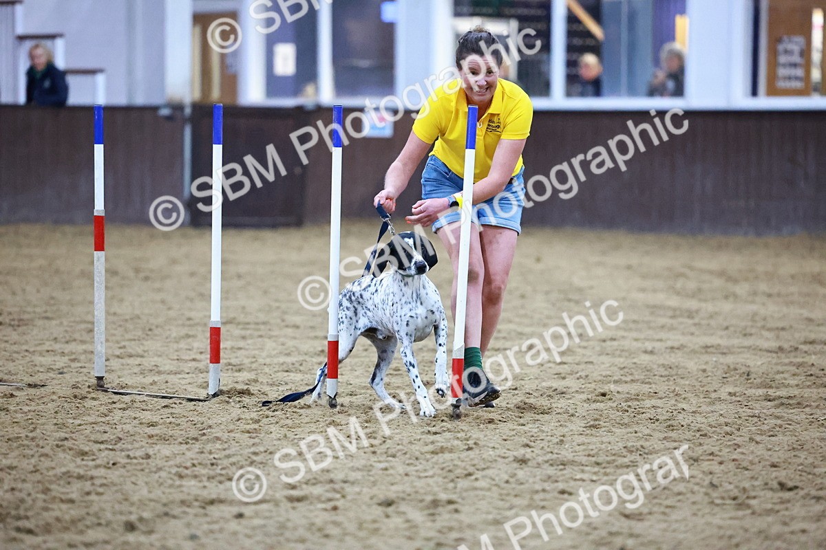 SBM_005477 - Evening Performance