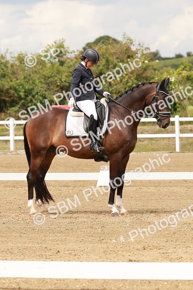 SBM_001951 - Class 8 - Elementary 6