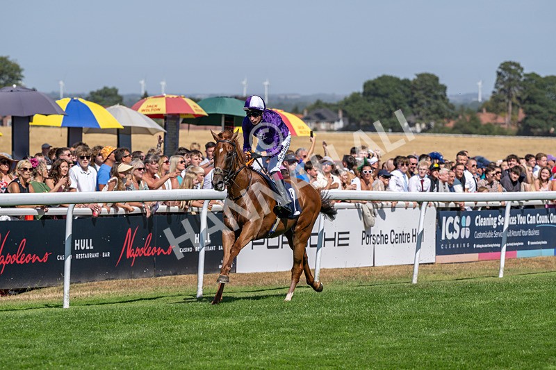 120826-Race 2-Empire Rising-5634 - Race 2 14.45pm 911 At Porsche Centre Hull EBF Restricted Maiden Stakes