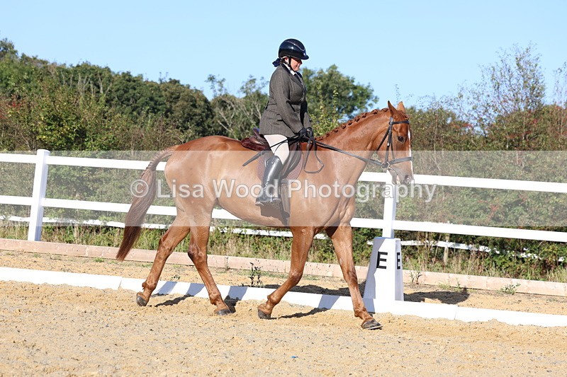3E7A5163 - Class 7: Novice Ridden Hunter/Hack/RH/Cob