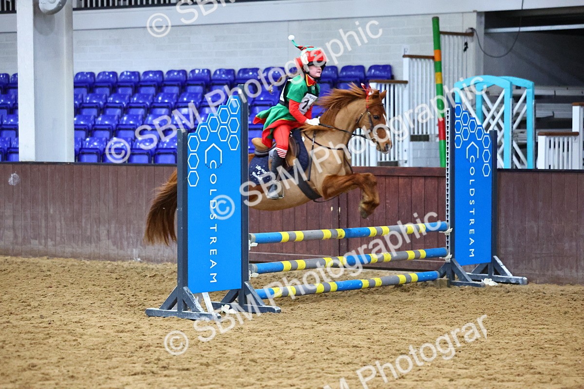 SBM_001456 - Class 3 - Christmas Tree Stakes - 60cm