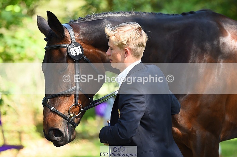 230524-161644-00812 - 262-TREAMBLE-Finn_Healy-WEDTrotUp+DR