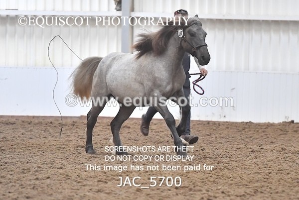 JAC_5700 - 6 Glenmuir Niamh