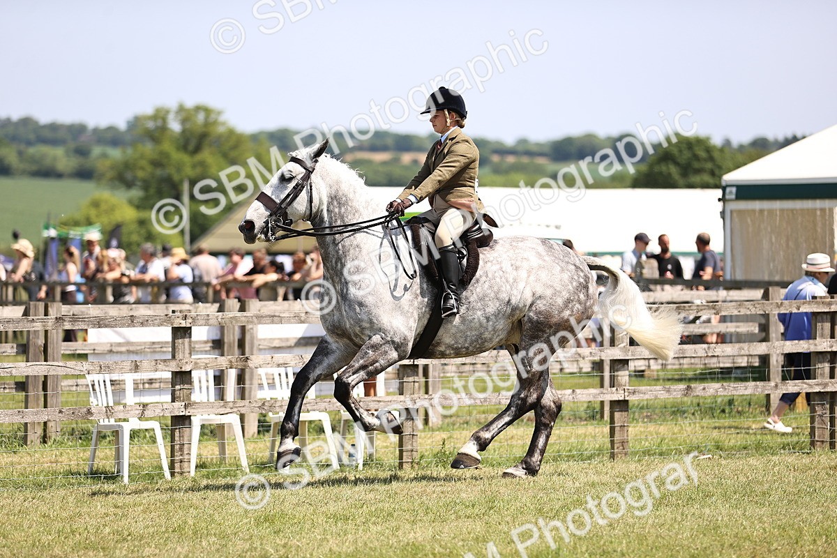 SBM_16130 - Class 79-80 - LIHS BSHA Rising Star Ridden Hunter