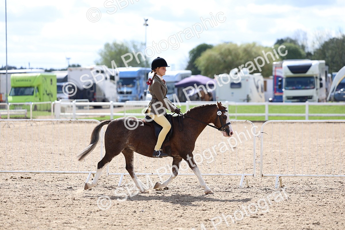 SBM_13261 - Class 311 - Ridden Show Pony Show Hunter Pony