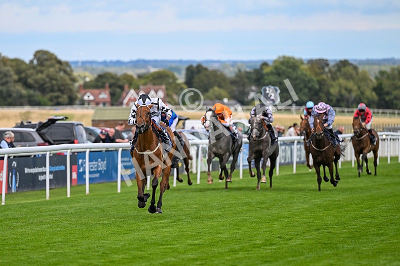 170925-Race 4-Dunkeld Dreamer-4871 - Race 4