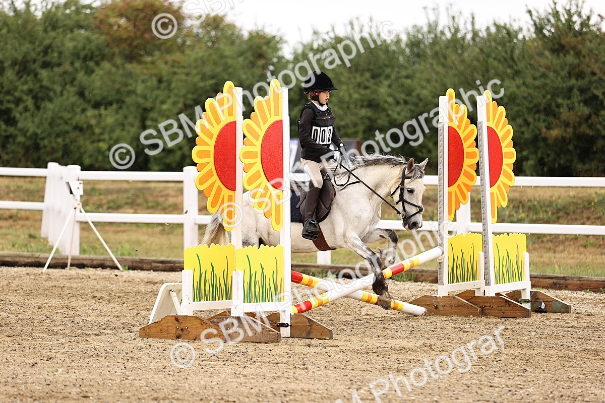 SBM_000102 - Class 2 - 50cm