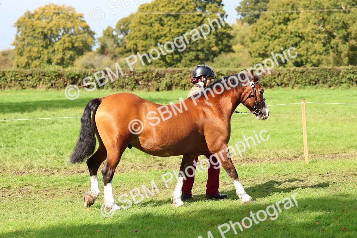SBM_39412 - S24 - Young Veteran In Hand