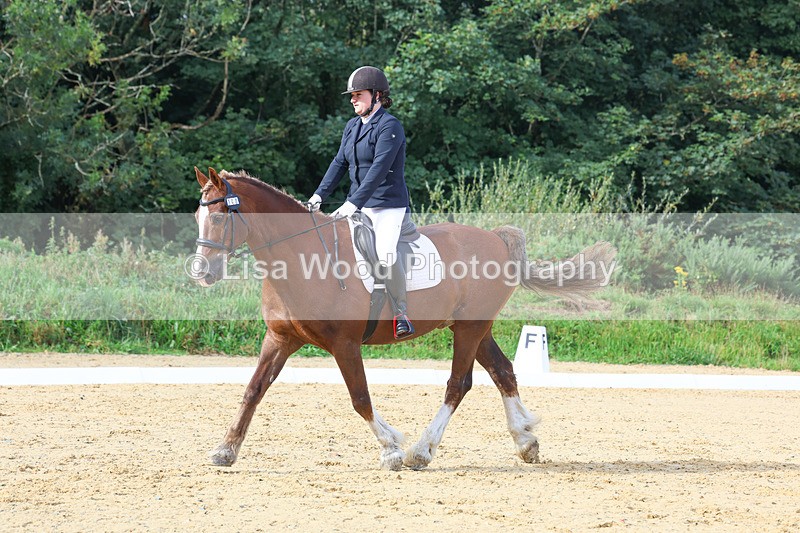 3E7A2219 - Class 1: Intro 4 2024 section A