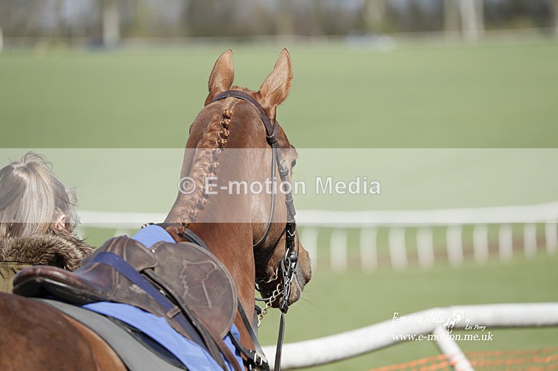 PtP 100423 815 - Old Berkshire Point-to-Point Lockinge 10/04/23