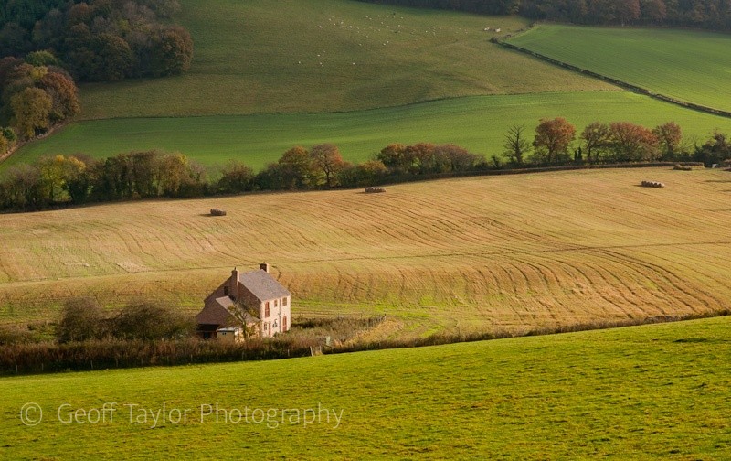 Lower Dinchope 2 - Wenlock Edge