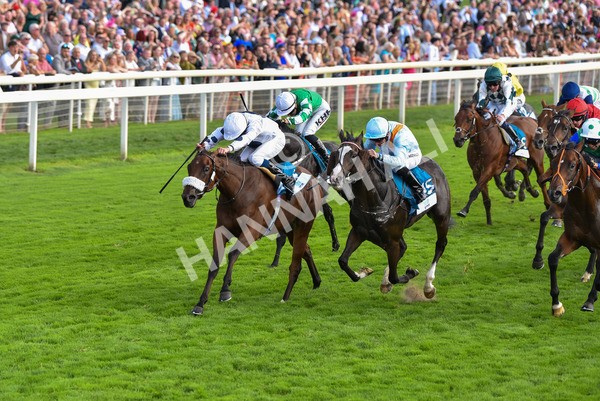 240823-Race 6-Gushing Gold-0723 - Race 6 4.45pm Or8Wellness EBF Stallions Nursery Handicap