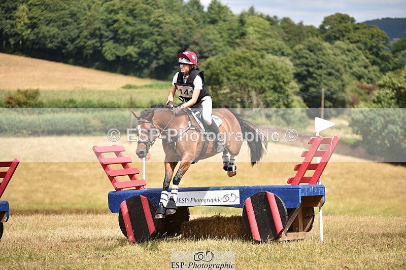 250802A-140142-04652 - C-135-Natasha.Bailey-WILD.CONFETTI