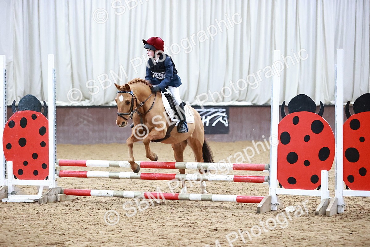 SBM_000940 - Class 3 - 60cm