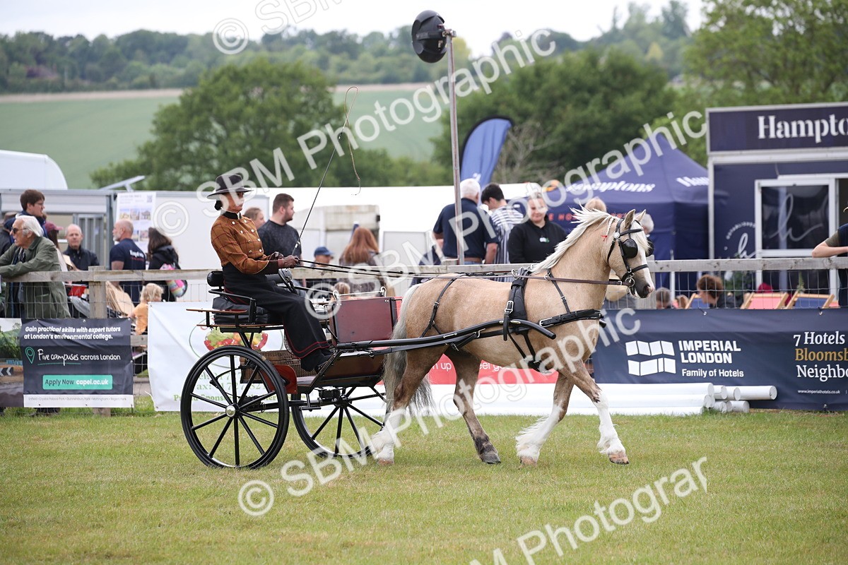 SBM_05612 - Class 12-15 - HOYS Private Driving