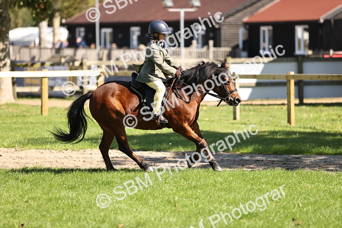 SBM_19344 - S3 - TSR Ridden Pony Showing
