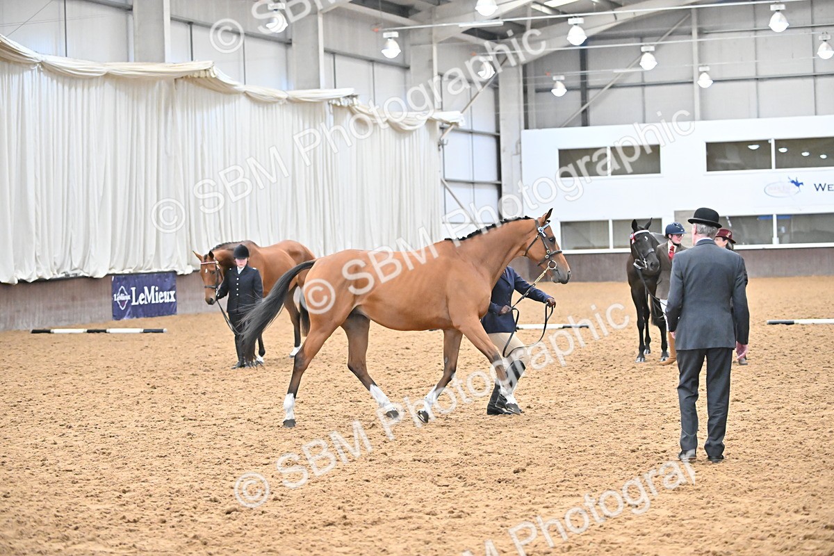 SBM_000249 - Class 7 - ROR Tattersalls In Hand