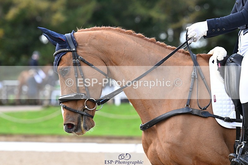 251023A-101406-01467 - B-128-Holly.Law