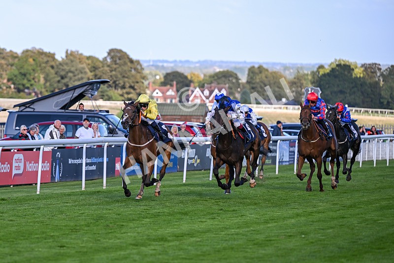 230925-Race 6-Kiss Me My Love-1960 - Race 6