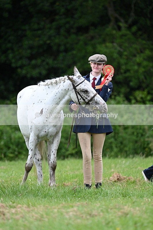 WJ7_4530 - Class 14B Prettiest Mare