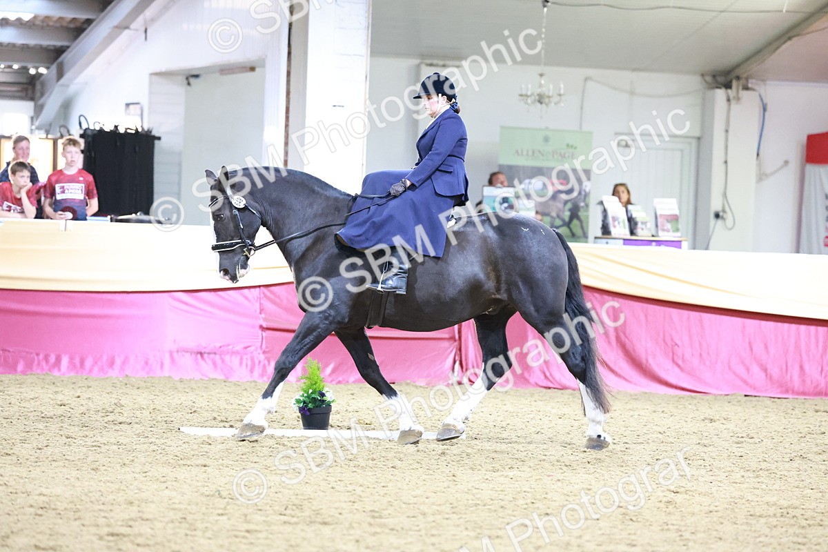 SBM_09926 - Class 61 - Dressage to Music