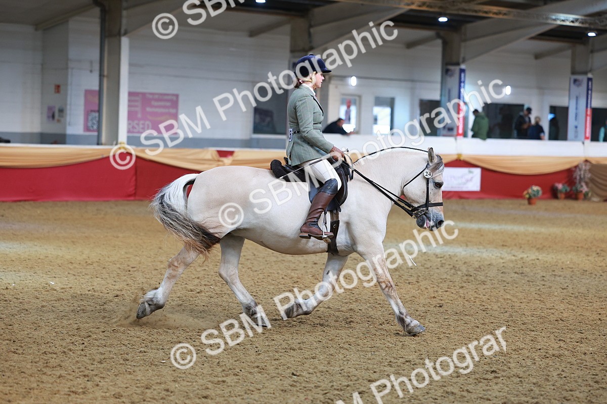 SBM_09519 - Class 102 - HOYS Veteran Qualifier - Ridden Veteran