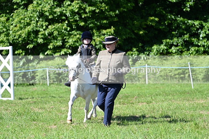 WJ7_0576 - Class 8 First Rally Pony