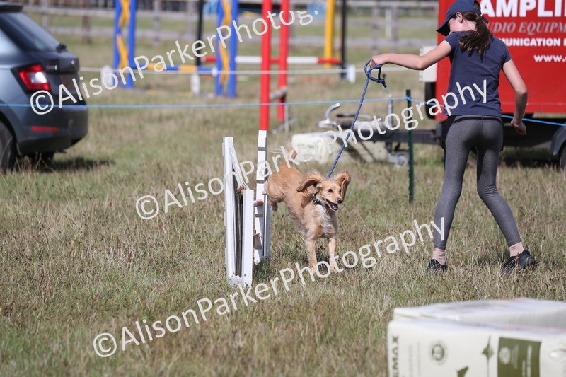 20260906-3459 - Class 34 - Dog Agility