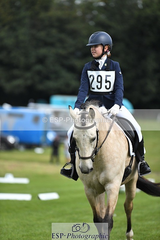 230826-111225-15762 - Sections C & D 10 to End