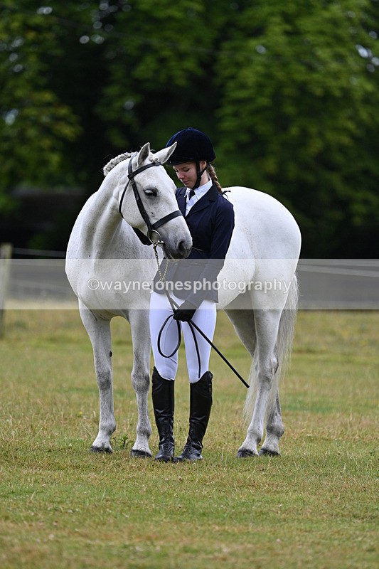 WJ7_6355 - Class 4a Prettiest Mare over 14hh