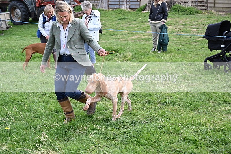 WJ6_8156 - Class 2 Best Pedigree