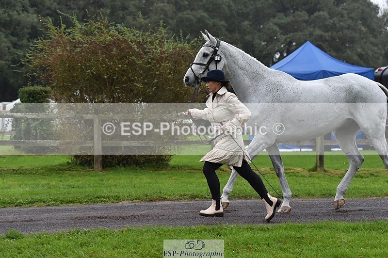 231018-120002-00029 - 003-BOB.CHAPLIN-Kate.Walls-TrotUp