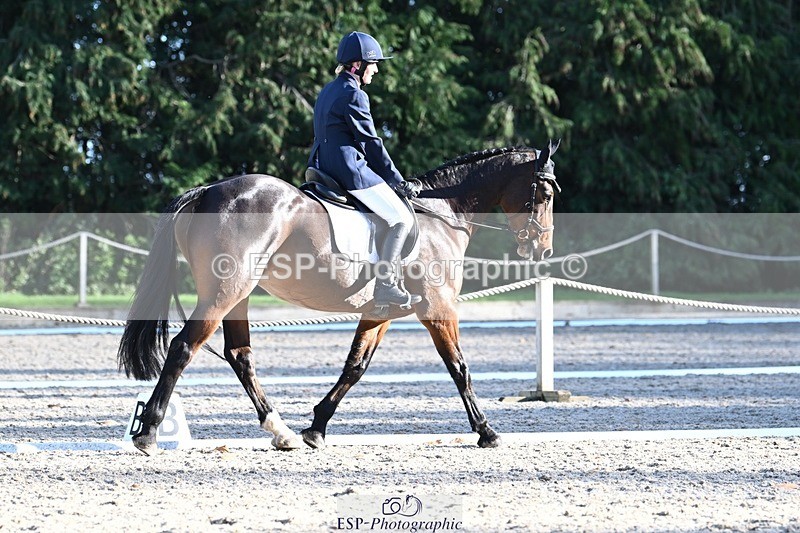 231110-132611-00946 - Cls 4 Novice 39Q