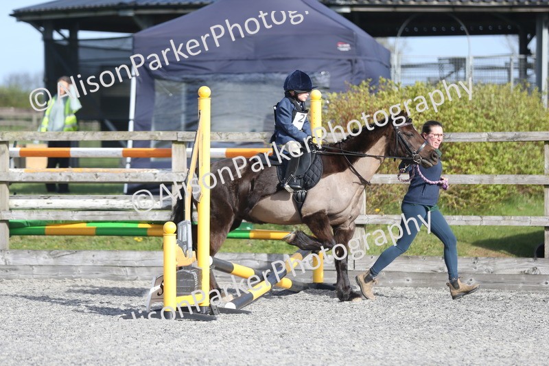 20260412-0039 - Show Jumping