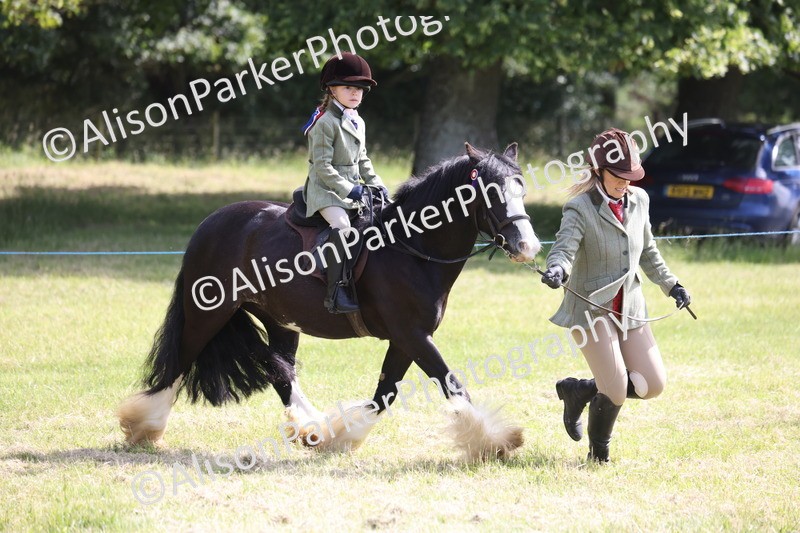 20260614-0637 - Class 20 - Beginners Working Hunter Pony