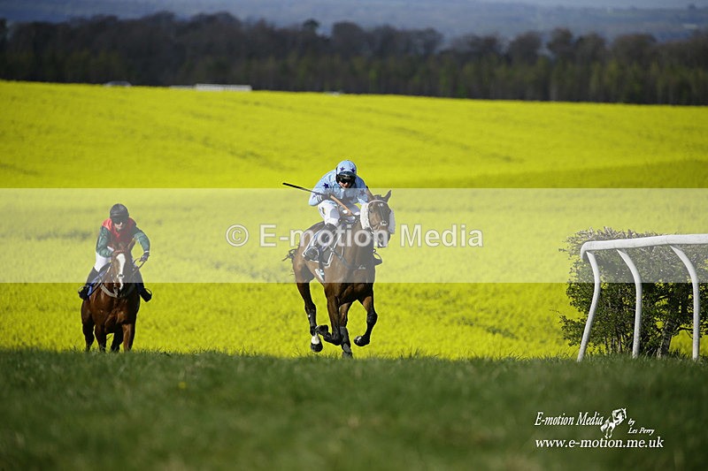 PtP 180422 404 - Old Berkshire PtP Lockinge 18/04/22