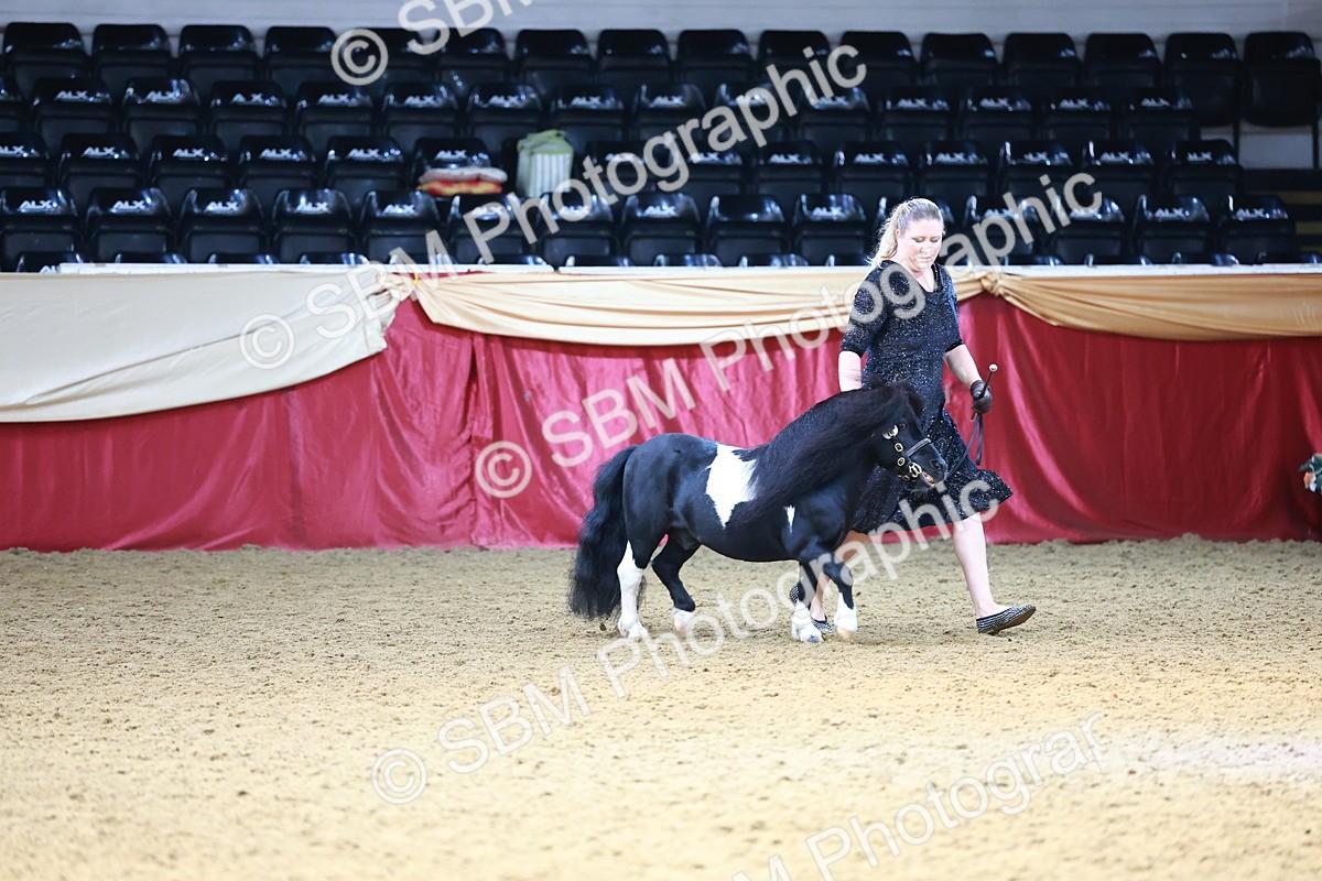 SBM_23102 - Class 903 - Supreme Final - IH Pre Vet