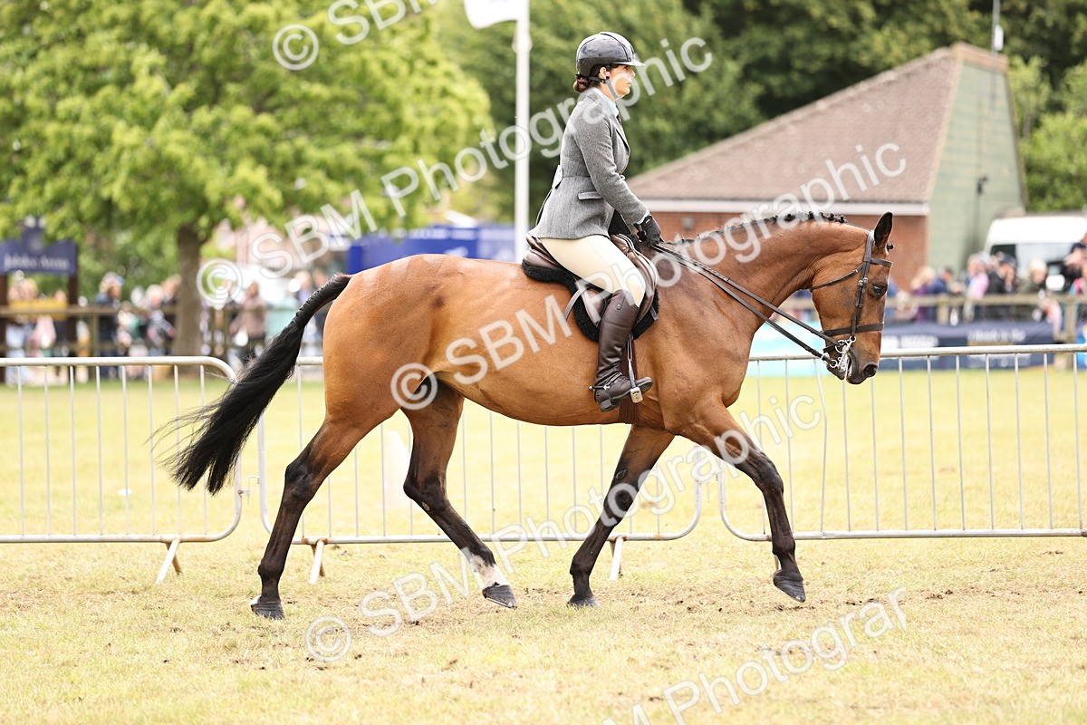 SBM_14649 - Class 88-89 - LIHS BSHA Rising Star of Ridden Hunter Type