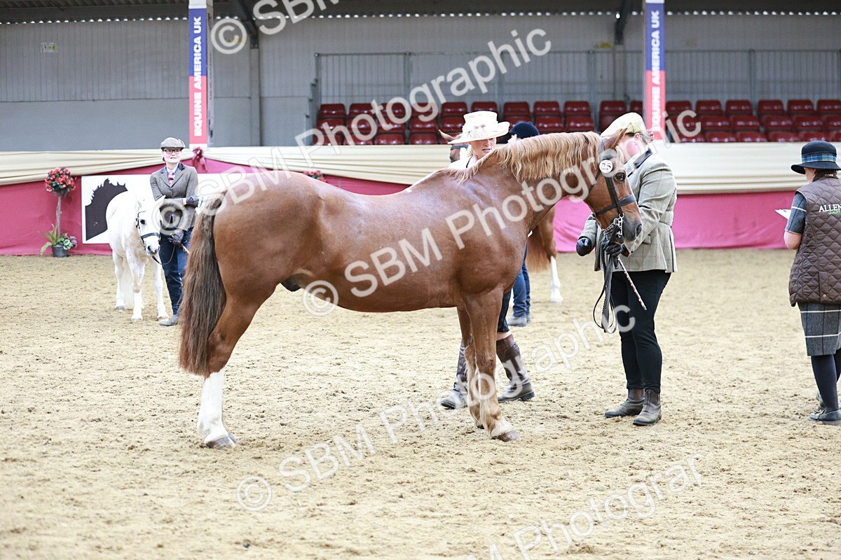 SBM_04835 - Class 7R - Regional IH Diamond