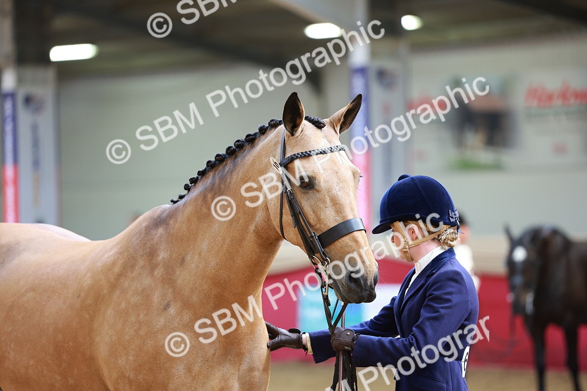 SBM_18670 - Class 903 - Sup Final - IH Pre Vet