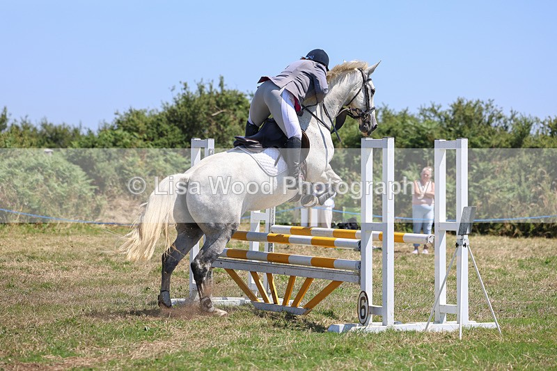 3E7A4372 - Class 10: Senior British Novice/90cm open