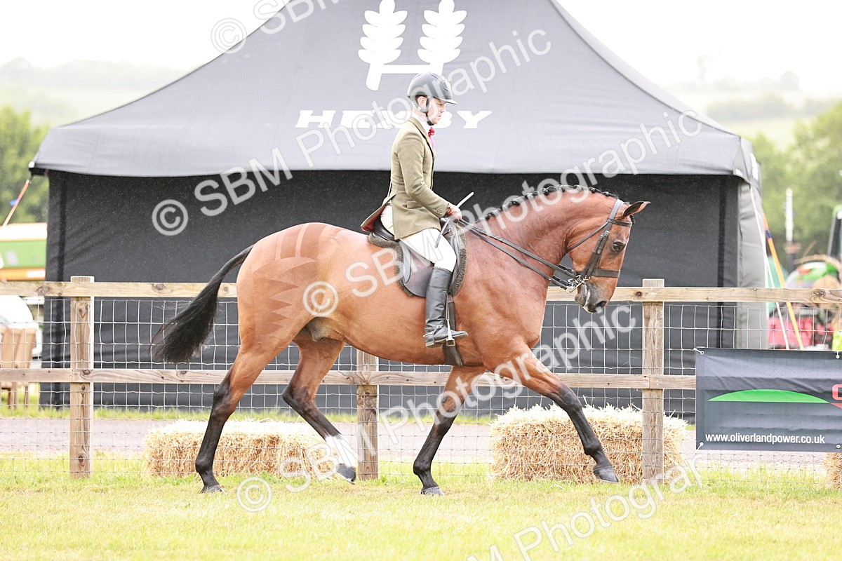 SBM_10745 - Class 81-84 - RIHS Ridden hunters Inc Ladies Hunter