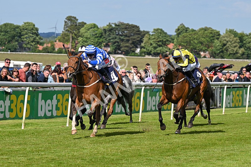 080624-Race 7-This Years Love-2036 - Race 7