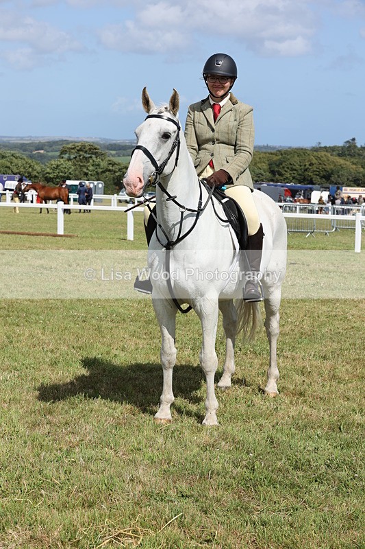 JPP_2463 - Class 19: Working Hunter 60cm