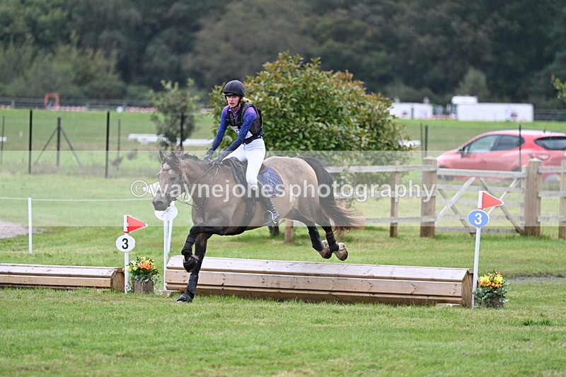 WJ7_8604 - 60cm Time 12:11 to 12:30